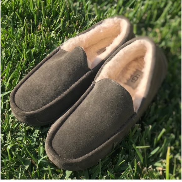 UGG??Ascot loafers Men’s Sz 9 new main image 9